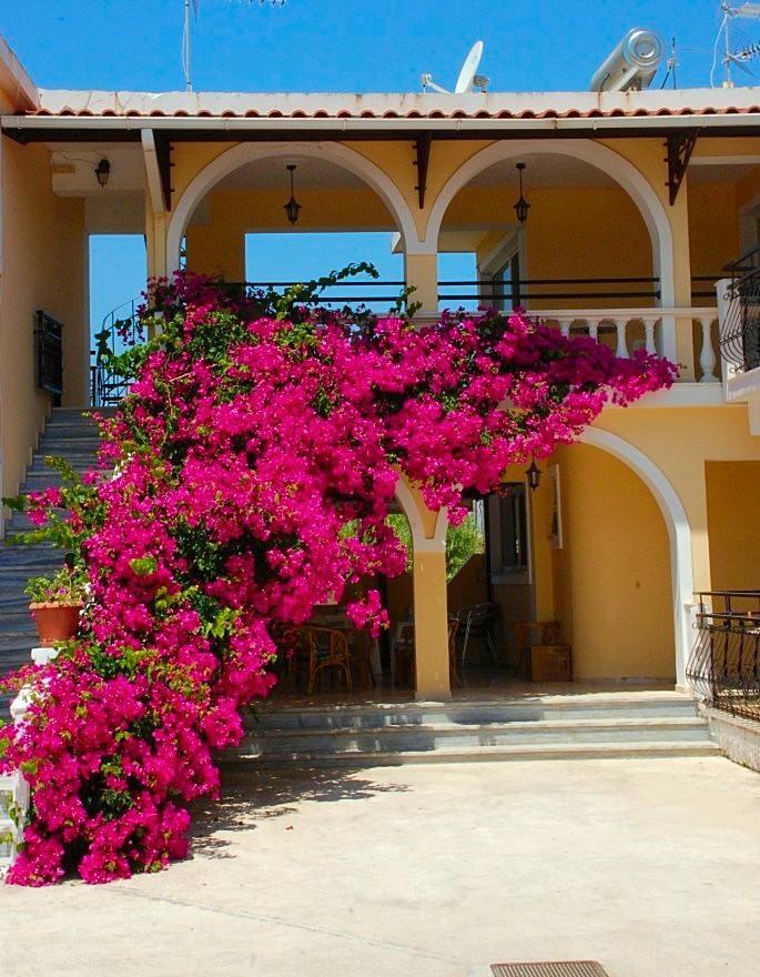 Zante 523 Aparthotel Laganas Exterior foto